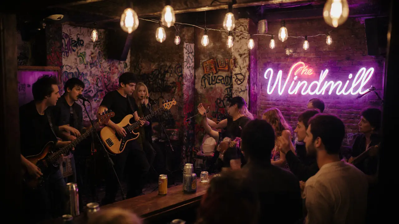 Raw punk show at The Windmill pub, band playing behind a bar with moshing crowd.